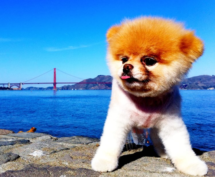 Me at the Golden Gate Bridge!